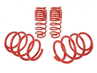 Skunk2 Lowering Springs - Civic 10th Gen - Kaiju Motorsports