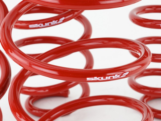 Skunk2 Lowering Springs - Civic 10th Gen - Kaiju Motorsports